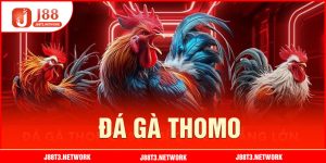 da-ga-thomo