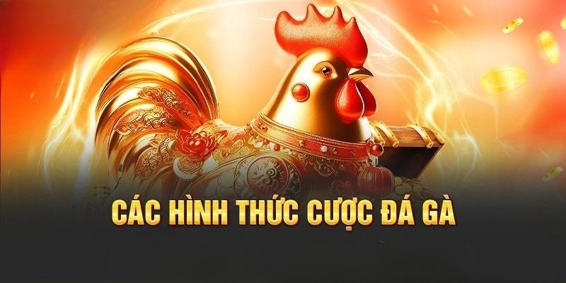 Bet thủ có thể tham gia nhiều hình thức chọi kê Thomo đình đám