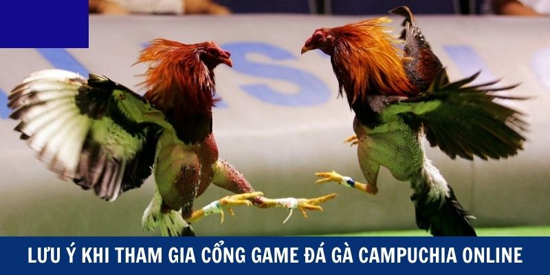 Những lưu ý khi tham gia cổng game đá gà Campuchia online