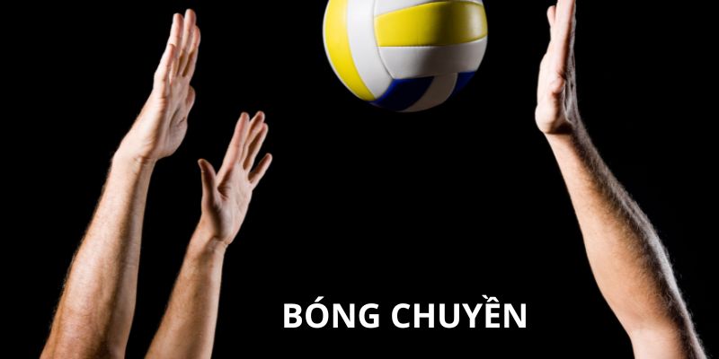 Bộ môn bóng chuyền nhận được nhiều lượt yêu thích từ người chơi